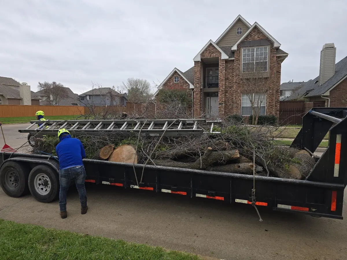 Expert Tree Fertilization with proper safety equipment in Pell City